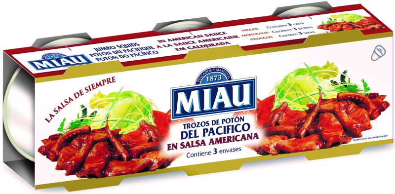 TROZO POTON MIAU AMERICANA RO-80 P3
