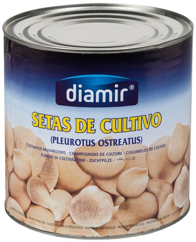 SETAS DE CULTIVO DIAMIR 3K