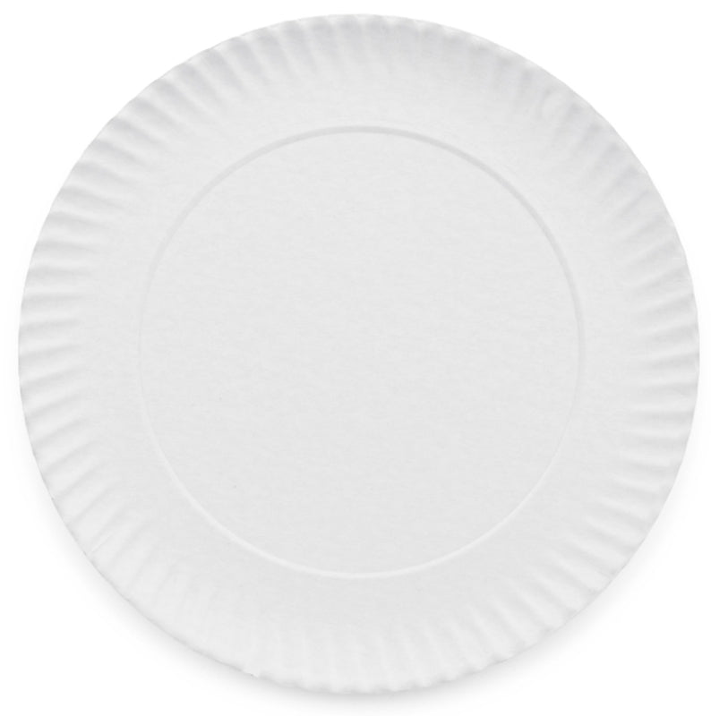 PLATO CARTON CAMPISOL 27CM 100U